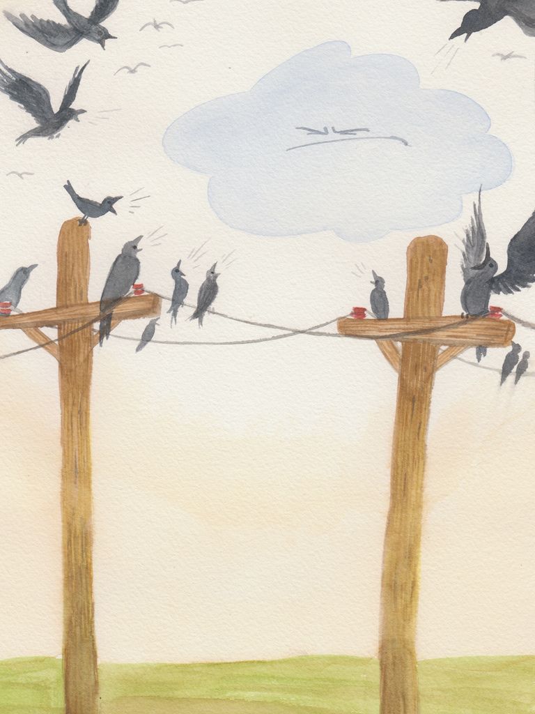 Illustration 19