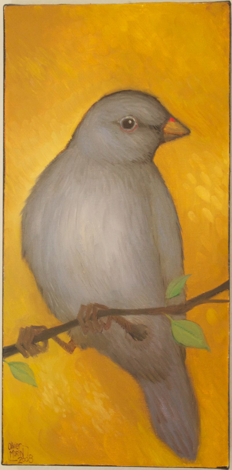Oiseau sur fond jaune